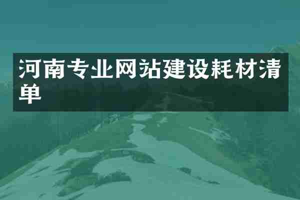 河南专业网站建设耗材清单