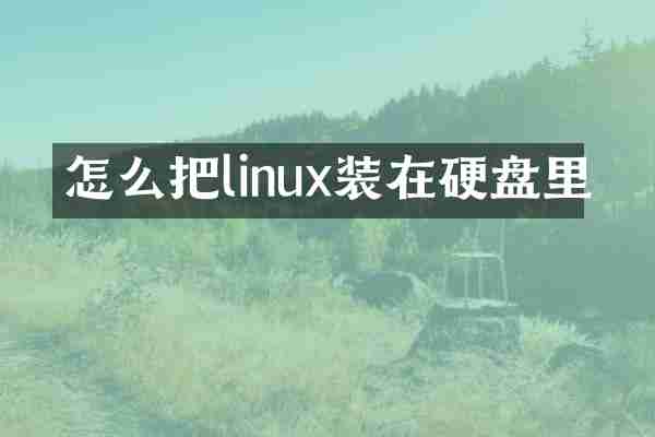 怎么把linux装在硬盘里