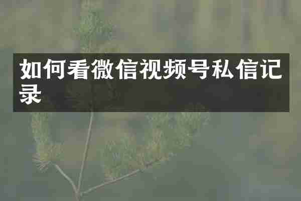 如何看微信视频号私信记录