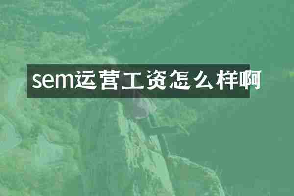 sem运营工资怎么样啊