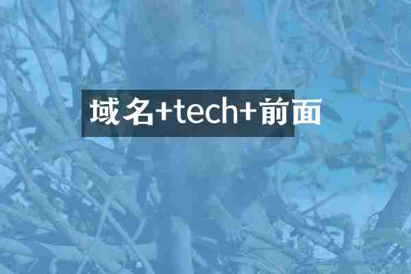 域名+tech+前面