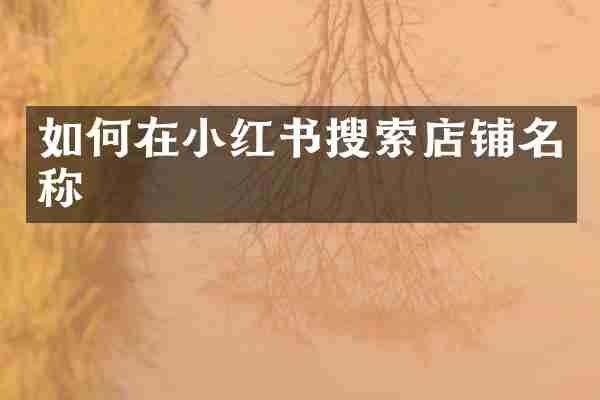 如何在小红书搜索店铺名称