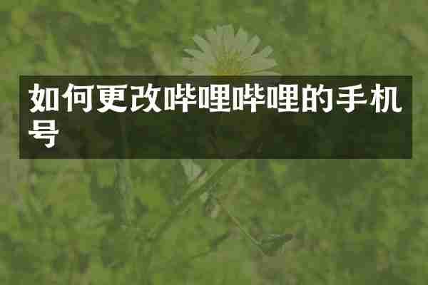 如何更改哔哩哔哩的手机号