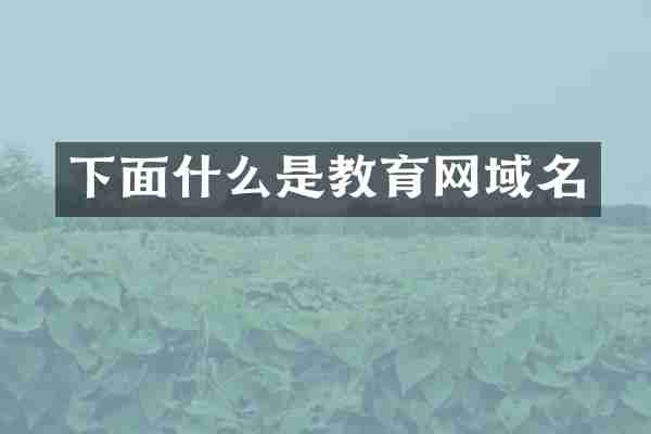 下面什么是教育网域名