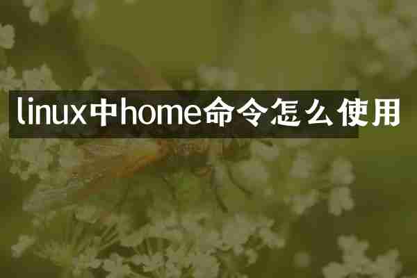 linux中home命令怎么使用