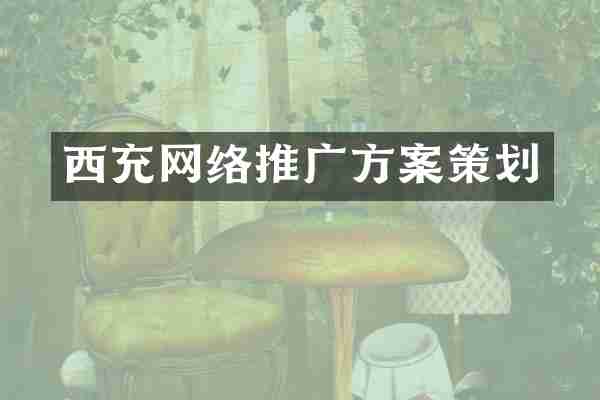 西充网络推广方案策划