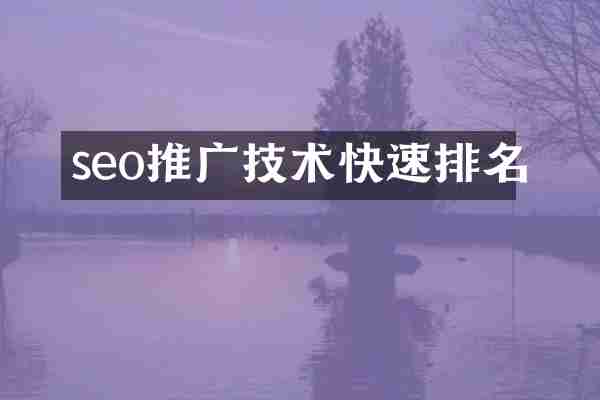 seo推广技术快速排名