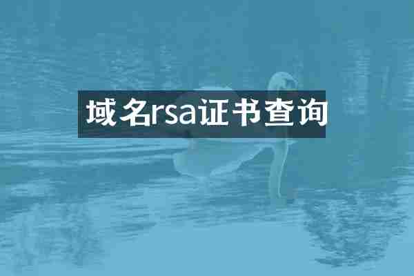 域名rsa证书查询