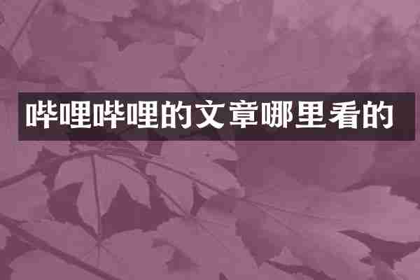 哔哩哔哩的文章哪里看的