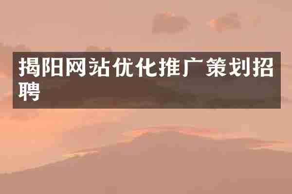 揭阳网站优化推广策划招聘