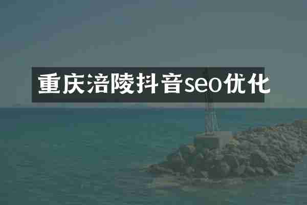 重庆涪陵抖音seo优化
