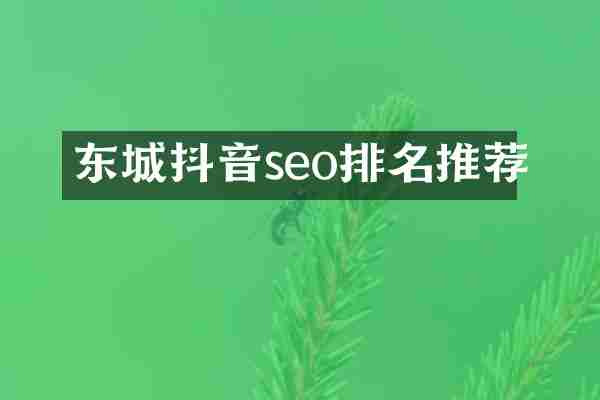 东城抖音seo排名推荐
