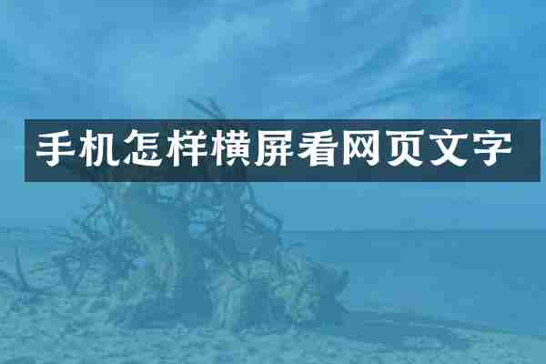 手机怎样横屏看网页文字