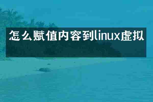 怎么赋值内容到linux虚拟机