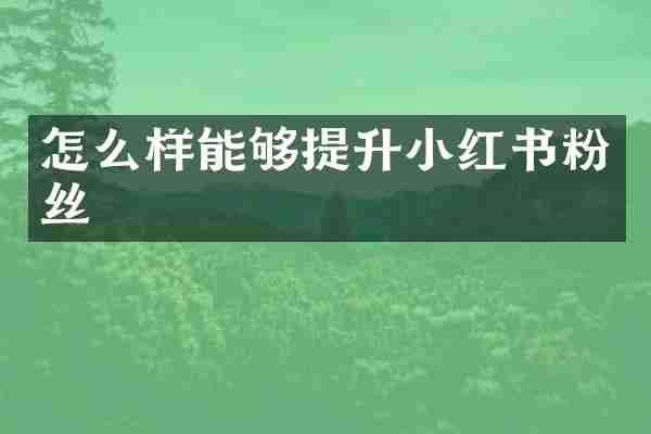 怎么样能够提升小红书粉丝