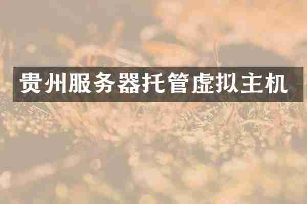 贵州服务器托管虚拟主机