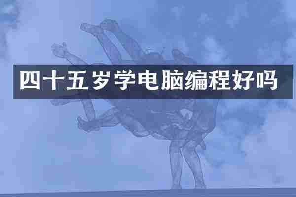 四十五岁学电脑编程好吗