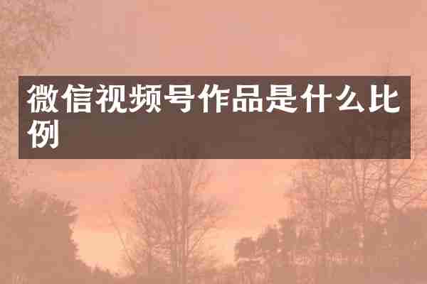 微信视频号作品是什么比例