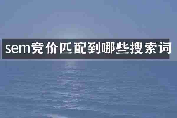 sem竞价匹配到哪些搜索词