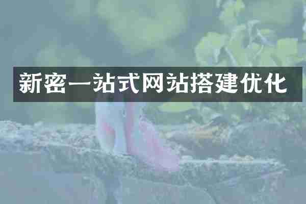 新密一站式网站搭建优化