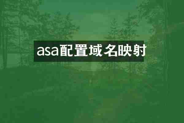 asa配置域名映射