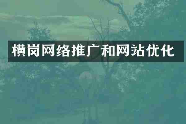 横岗网络推广和网站优化