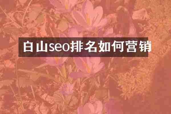 白山seo排名如何营销