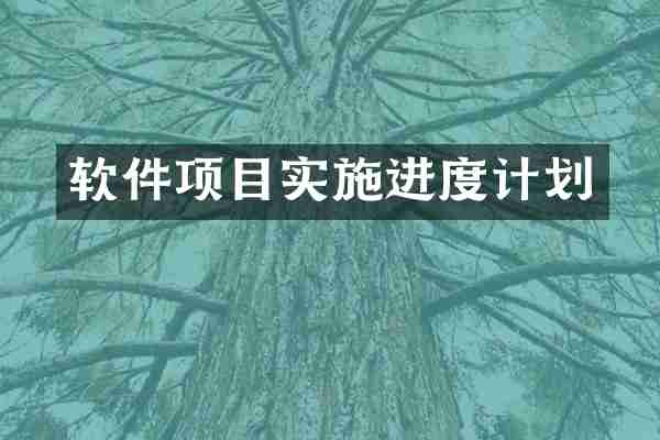 软件项目实施进度计划