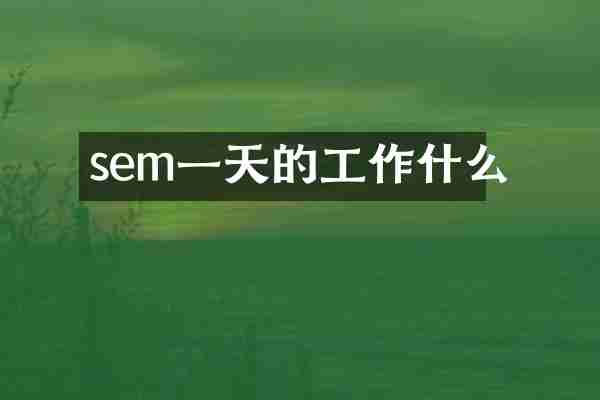sem一天的工作什么