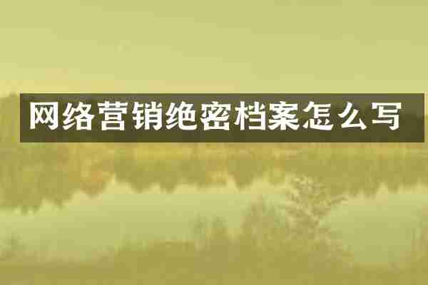 网络营销绝密档案怎么写