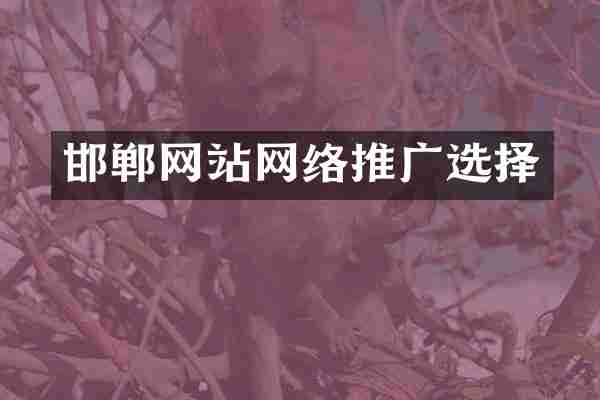 邯郸网站网络推广选择