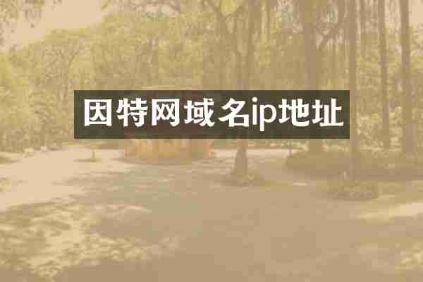 因特网域名ip地址