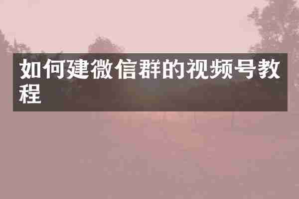 如何建微信群的视频号教程