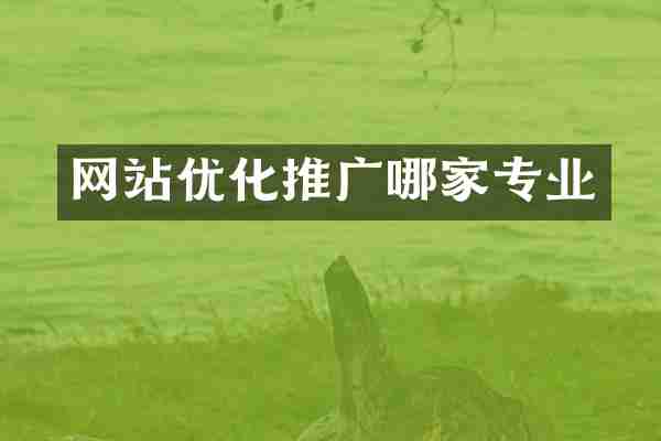 网站优化推广哪家专业