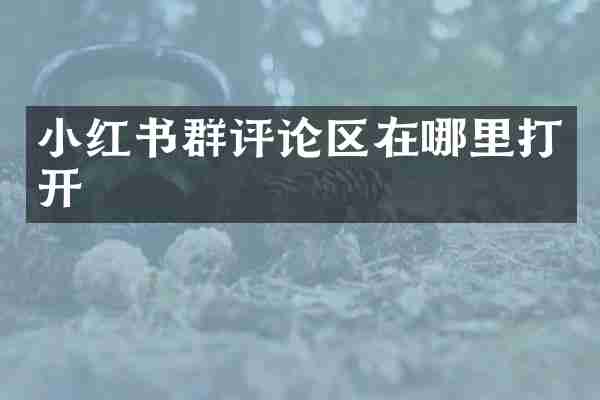 小红书群评论区在哪里打开