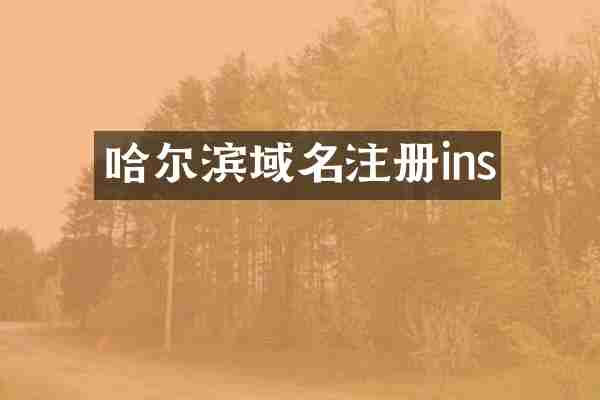 哈尔滨域名注册ins