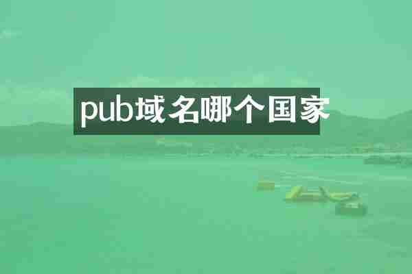 pub域名哪个国家