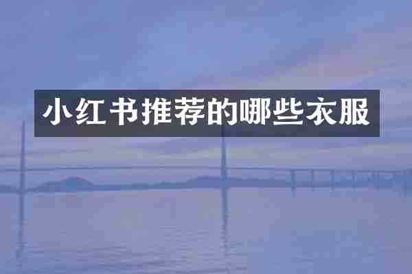 小红书推荐的哪些衣服