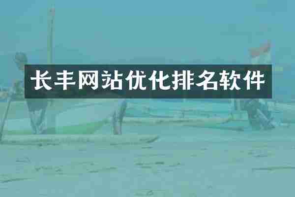 长丰网站优化排名软件