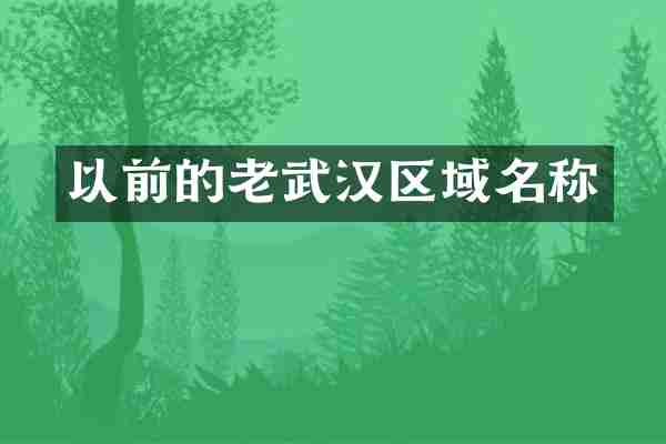 以前的老武汉区域名称
