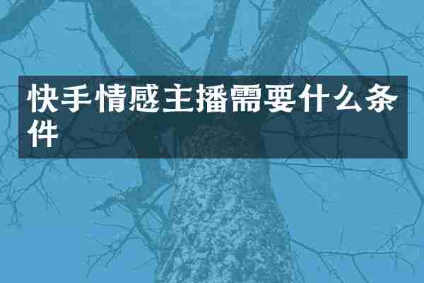 快手情感主播需要什么条件