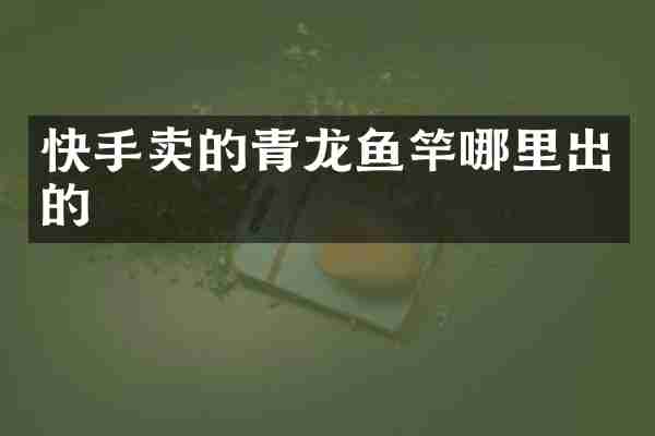 快手卖的青龙鱼竿哪里出的