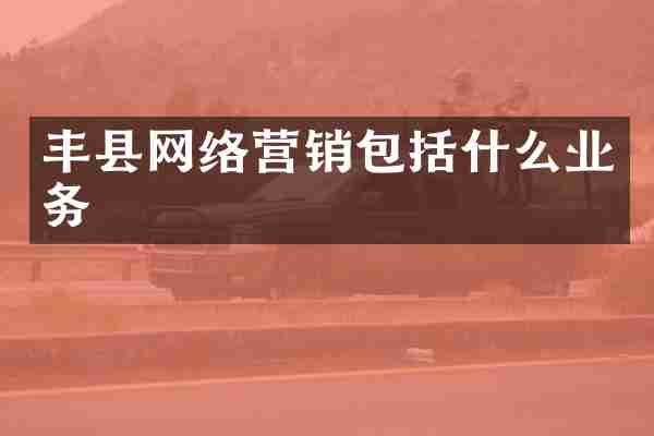 丰县网络营销包括什么业务