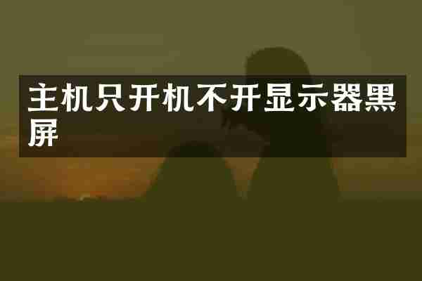 主机只开机不开显示器黑屏