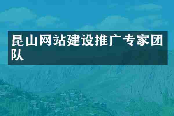 昆山网站建设推广专家团队