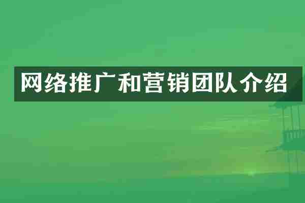 网络推广和营销团队介绍