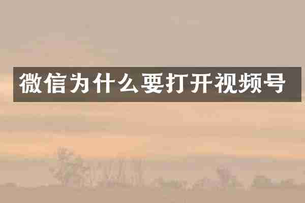 微信为什么要打开视频号