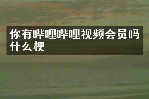 你有哔哩哔哩视频会员吗什么梗