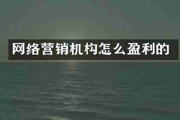 网络营销机构怎么盈利的