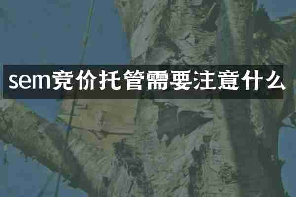 sem竞价托管需要注意什么